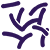 Bioinformatics Analysis